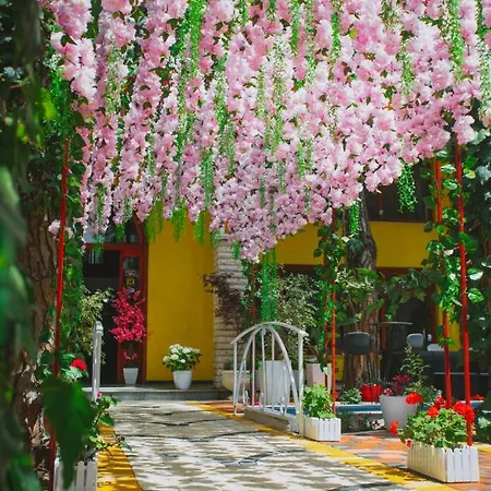 Hotel Mali I Robit 3*